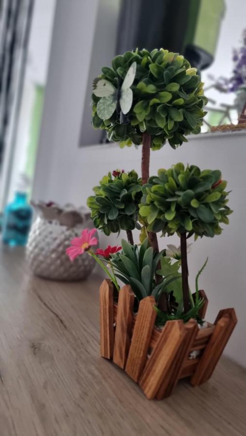 Apartament Daria Navodari Luaran gambar